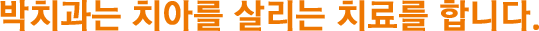 박치과는 치아살리는 치료를 합니다.
