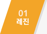 01 레진