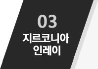 03 지르코니아 인레이