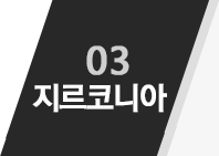 03 지르코니아
