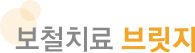 브릿지